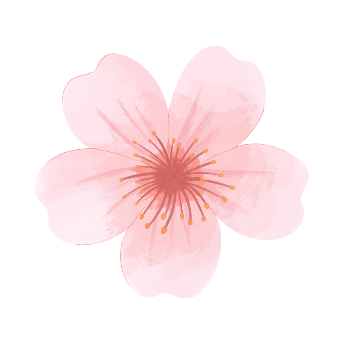 The Signature Bouquet