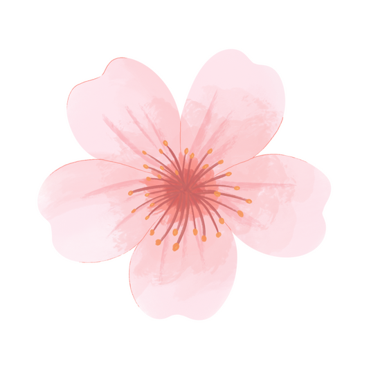 The Everyday Bloom